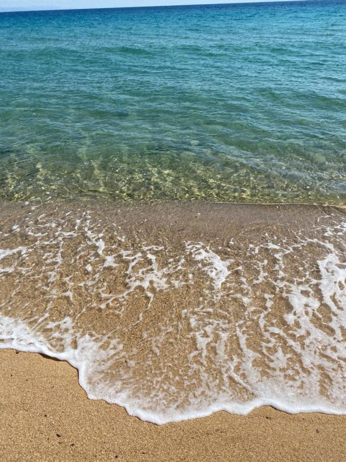 Seafront Oasis Beach Houses Ierissos Bagian luar foto