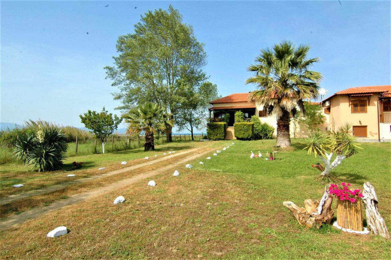 Seafront Oasis Beach Houses Ierissos Bagian luar foto